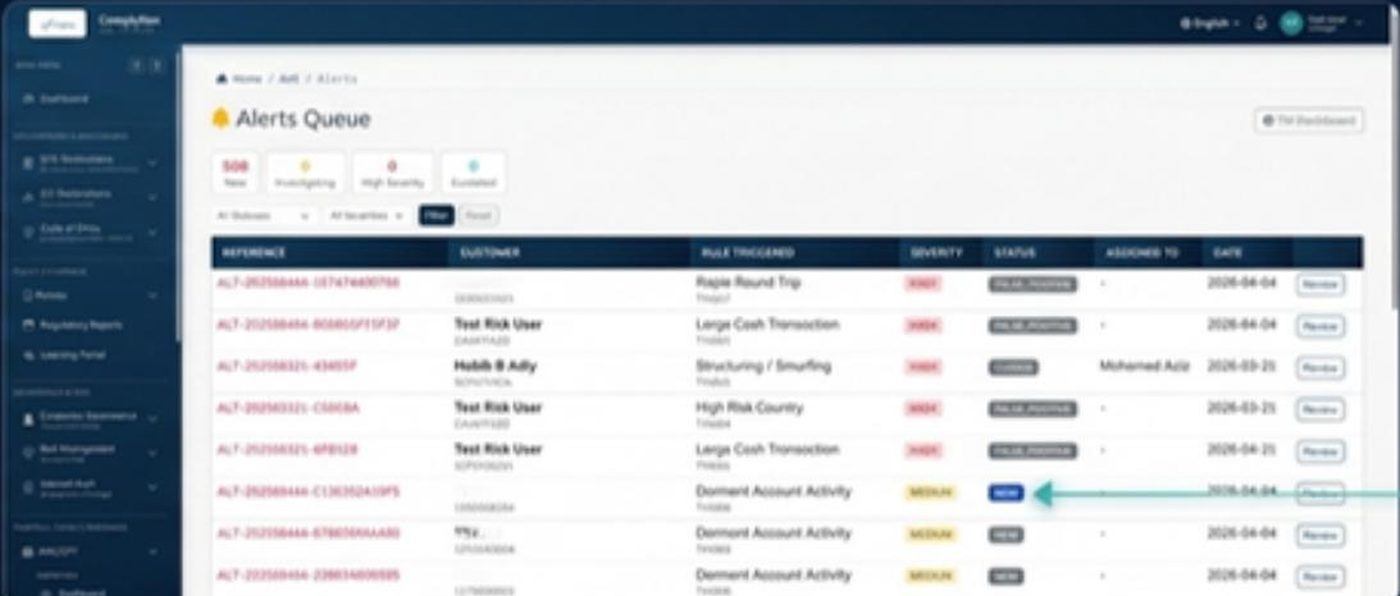 AML alerts queue